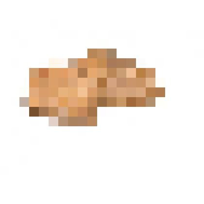 Кость мамонта (лопатка)