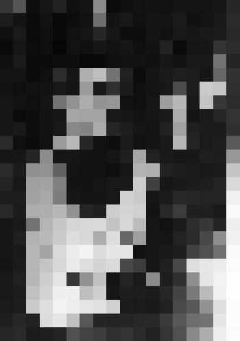 Фото. Маяковский В.В. со Скотиком