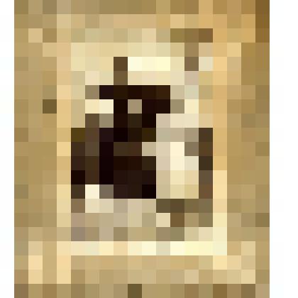 Фотография (на паспарту)