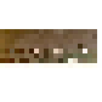 «Замоскворечье». 1975. Лист из серии «Золотая Москва»