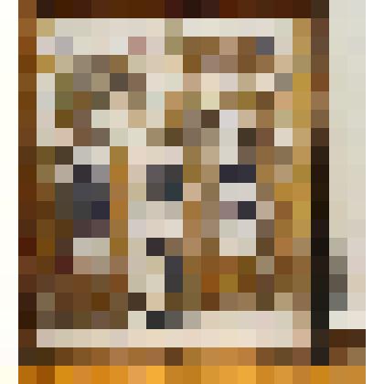 Первый снег