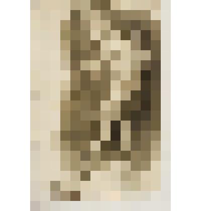 Натурщик стоящий. Борец