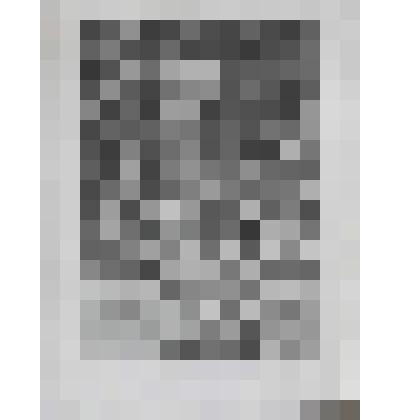 Портрет Петера Антона Гауизена