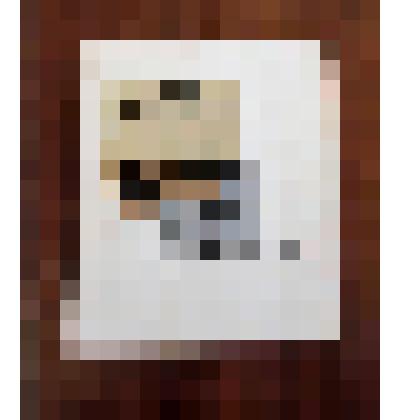 Каталог. "Каталог выставки". Рисунок, акварель, автолитография, офорт