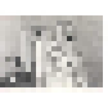 Фотография. Выступает  Р.П. Островская