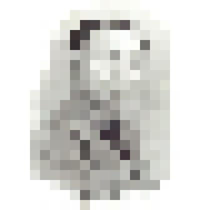 Фото. Фото Бакланова Д.Е