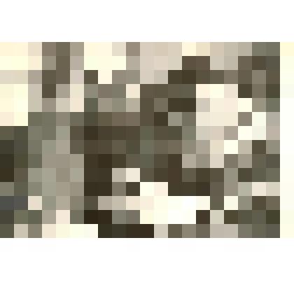 Фотография. Обсуждение у токарного станка