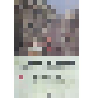 Журнал "Собеседник"