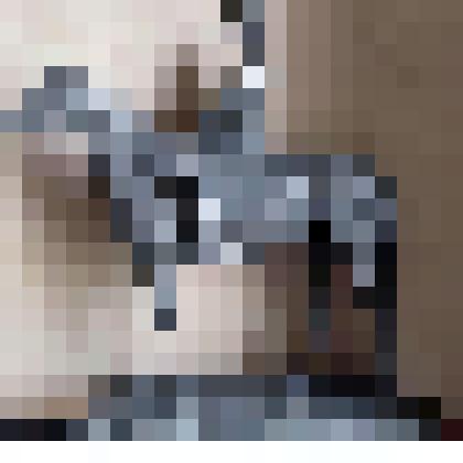 Победитель скачек