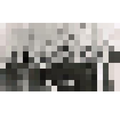 Фотография. Митинг на 1 Мая