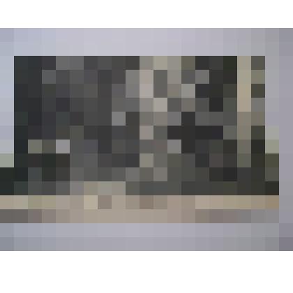 Почтовая карточка "№ 8 г.Скобелевъ.Айлантовая аллея въ Городскомъ парке"