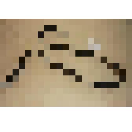 Деталь конской сбруи: ремень