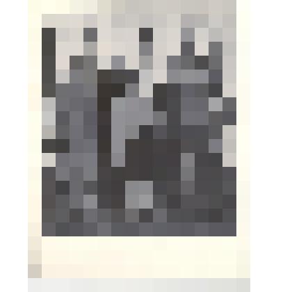 Фотография: лыжная команда СМП-302 г.Камня-на-Оби Алтайского края на соревнованиях в г.Барнауле