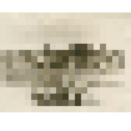 Фотография, г. Кашира, вид с острова "Любви"