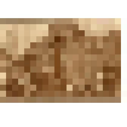 Фотография. Митинг на Красной площади