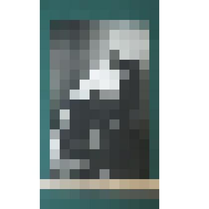 Фотография."Великий русский композитор Георгий  Свиридов"