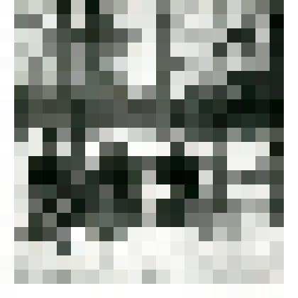 Фотография. Группа тунгусов