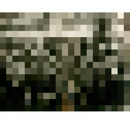 Фотография. Экспедиция инженера В.Е. Попова по изысканию Аяно-Нельканского тракта