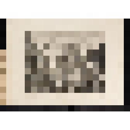 Саусуорская ярмарка. 1733, из альбома «The Works of William Hogarth»