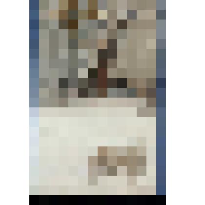 Открытка. А.П.Чехов «Каштанка». /Руководитель проекта С. Л. Тишков.-Р. SIA " PRESES NAMS BALTIC" 2011