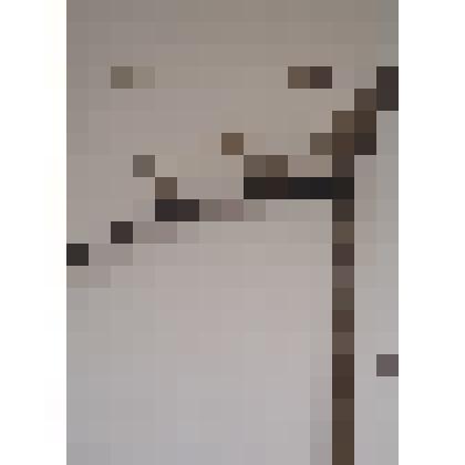 Грабловище