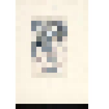 Охота за сокровищем. Комплекта иллюстраций к книге Р.Киплинга "Майгли"