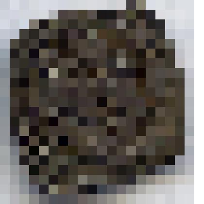 Монета. Священная Римская Империя;Каринтия, пфенниг