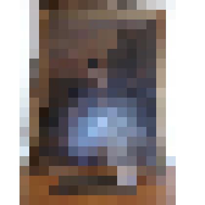 Хаджи-Мурат