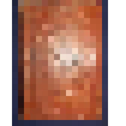 Книга. Минея служебная, месяц август. М.: Синодальная тип., июнь 1895 (7403)