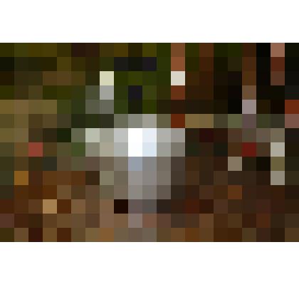 Заварник чайный