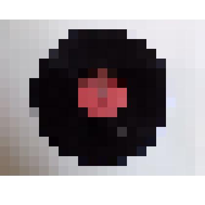 Пластинка «В краю дураков»