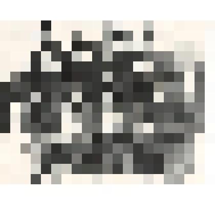 Фото групповое.     Поматилов С.Г. в  составе лыжной команды во время учебы  в Тюменском инженерно-командном училище