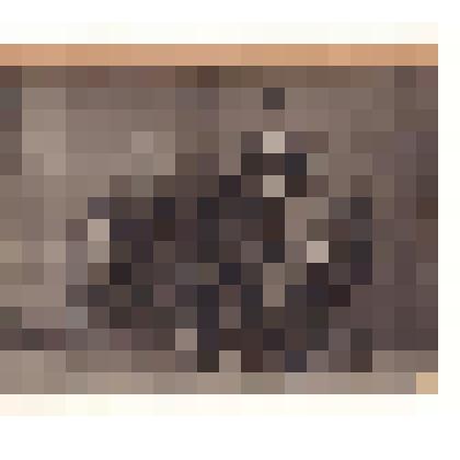 Фотопозитив. Ануфриев И.П. с сыновьями