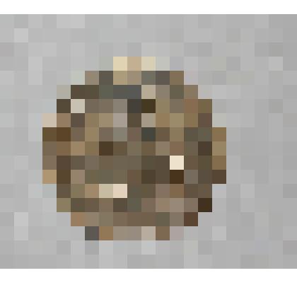 Монета. 2 копейки