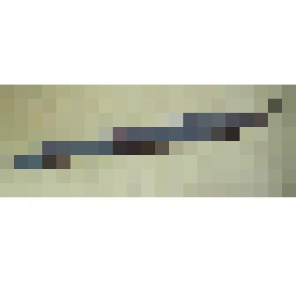 Пальма.Батыйа