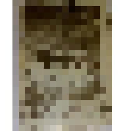 Марка почтовая с изображением " Ледокол Ленина на Северном полюсе "