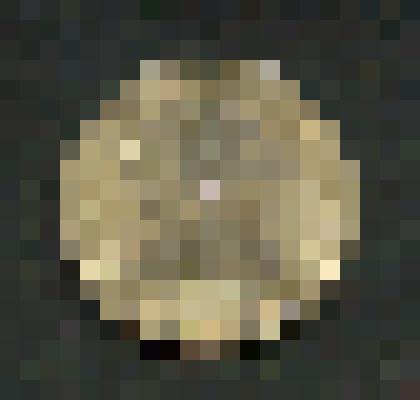 Монета 1 рубль, серии "Памятные монеты России. 10-летие Содружества Независимых Государств"