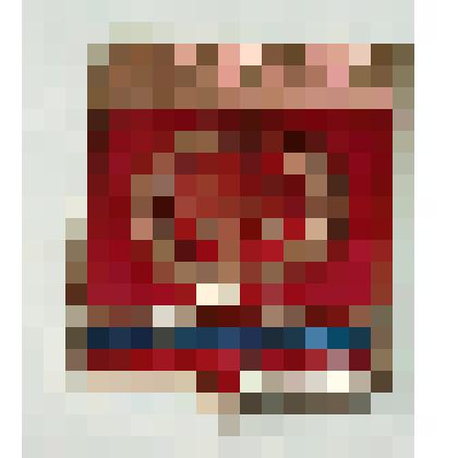 Значок "Шарья". Коллекция Жеребова В.Ф