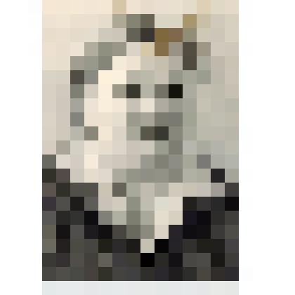 Фотография 80-х годов ХХ века. Портрет Поволокиной Н. оператора животноводческого комплекса  с. Ибредь