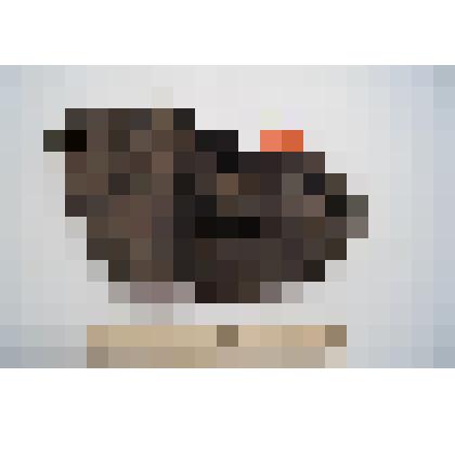 Кожаный сапог. Фрагмент