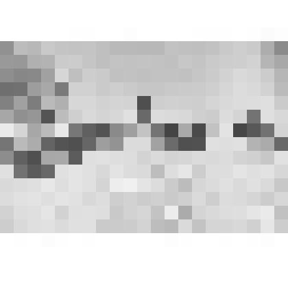 Негатив (стекло). С. Палех