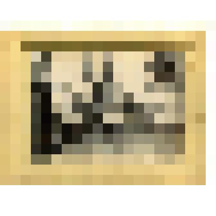 Фотография. Балахнинский уезд, д. Решетиха. Производство рыболовных сетей