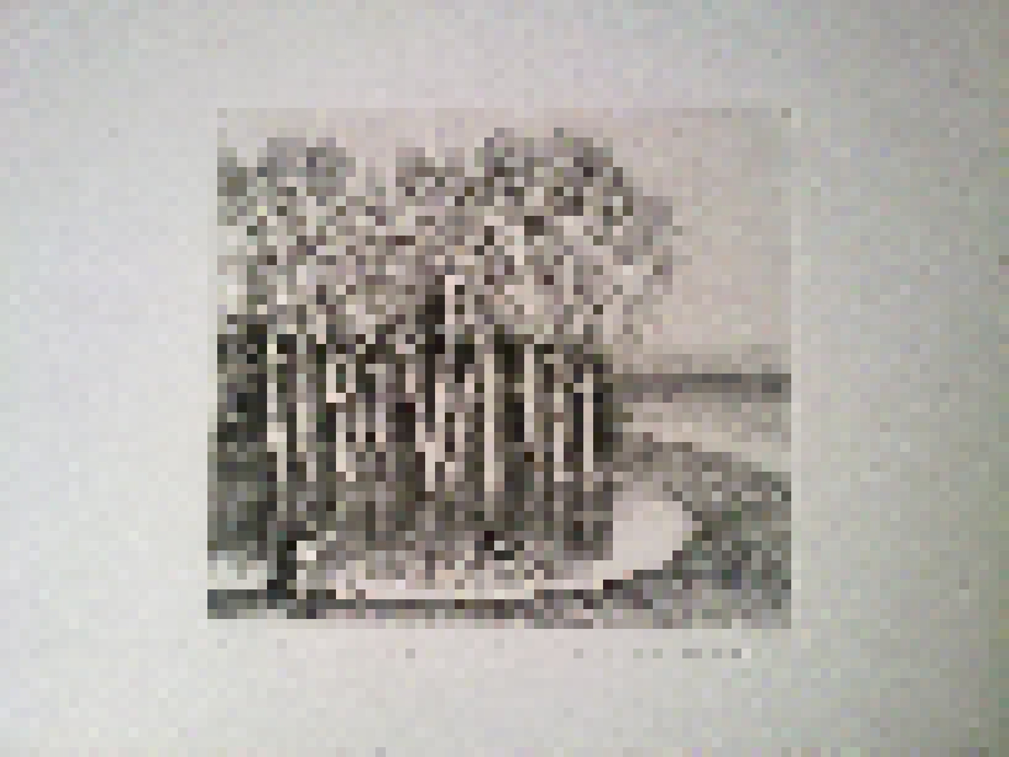 Офорт "Брод" №6  ( Из цикла "По мотивам народных пословиц и поговорок" ПКМ оф 2066/1-4)