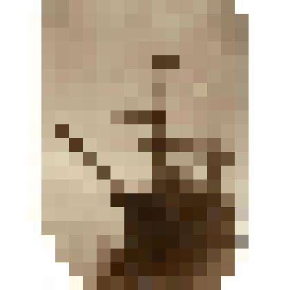 Фотография. "Заря"-судно, на котором совершил экспедицию Э.Толль