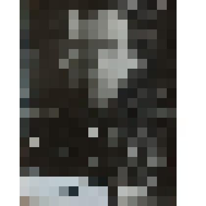 Фотография. Евсегнеев Н. А