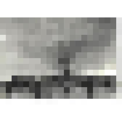 Фотографии. Фото ч/б. Бои в Крыму. 1942 г