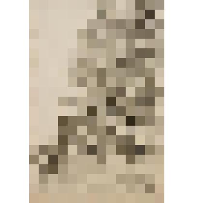 Дорога в Заполье