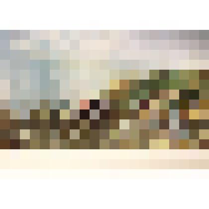 Репродукция с картин