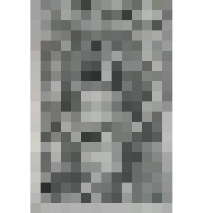 Портрет Марии [Генриетты], принцессы Оранж - Нассаусской, супруги Виллема II принца Оранж-Нассаусского, урожденной принцессы Стюарт