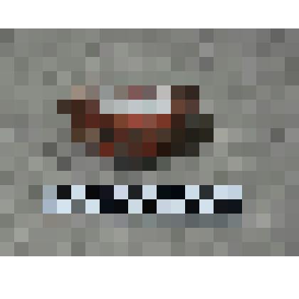 Деталь солонки в виде овальной чашечки с квадратным отверстием на дне. Окрашен в красный цвет. Стенки украшены рельефным орнаментом